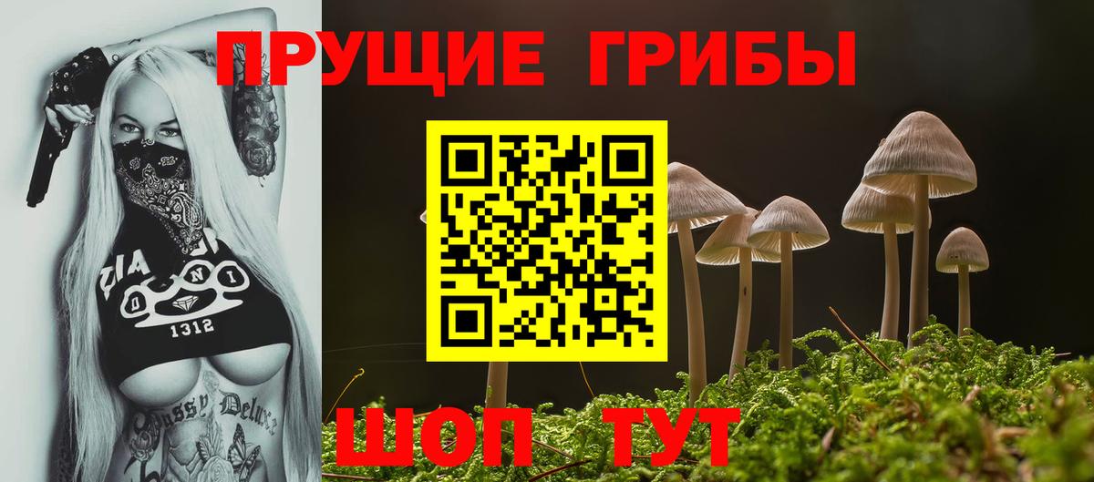 Псилоцибиновые грибы GOLDEN TEACHER  купить наркоту  Вход с VPN  Сибай  Псилоцибиновые грибы прущие грибы 