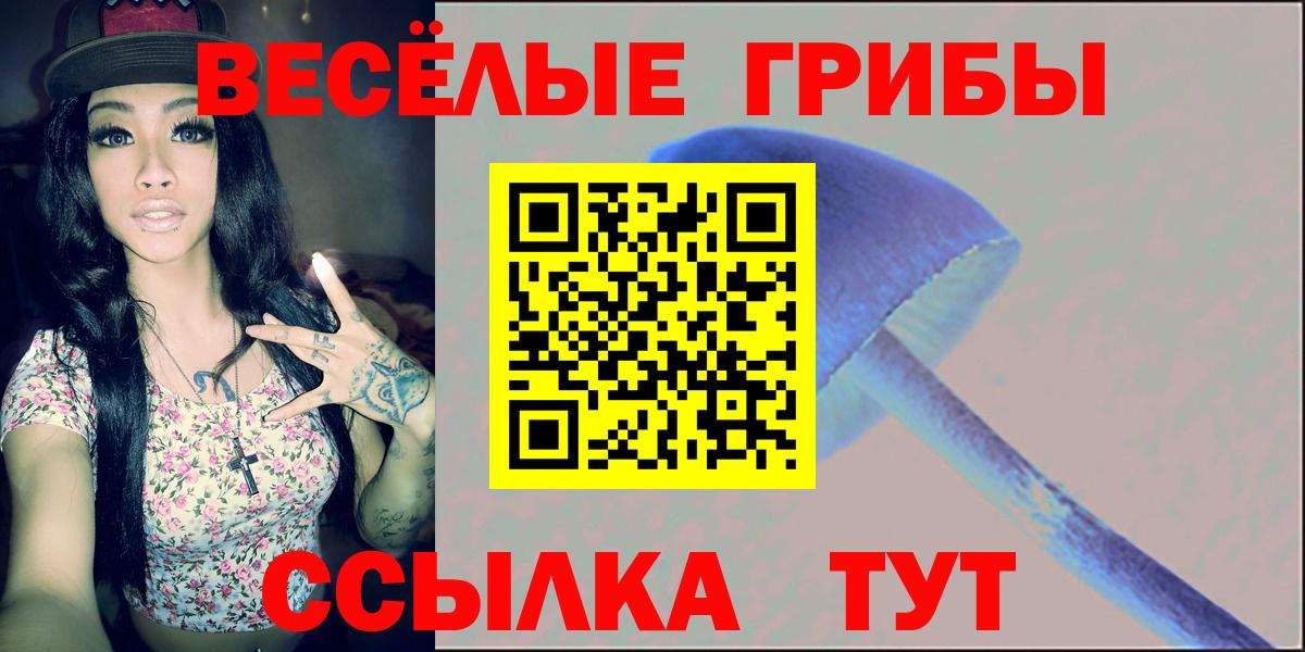 Галлюциногенные грибы GOLDEN TEACHER Сибай